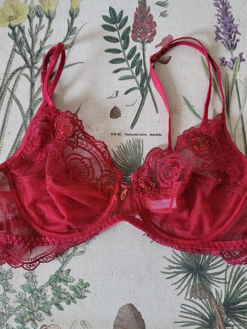 Lise Charmel Tellement Red Embroidered Lace Bra Small *No Size Tag*